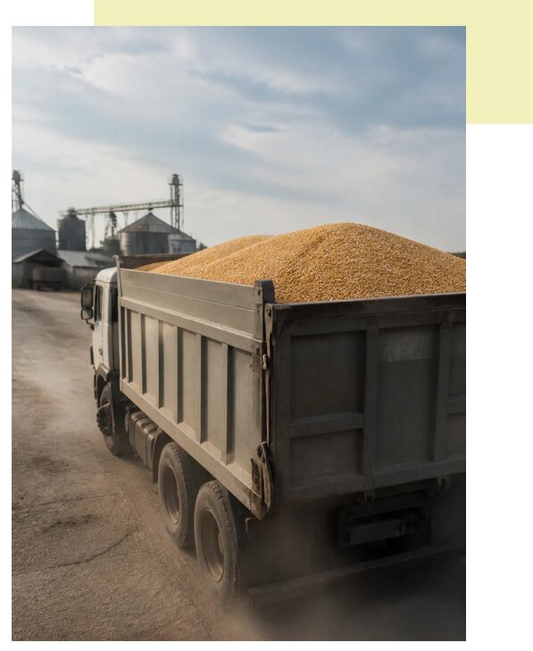 Перевозка сельхозпродукции навалом в Кинель по цене от 3056 р. | Агросервис-Кнл